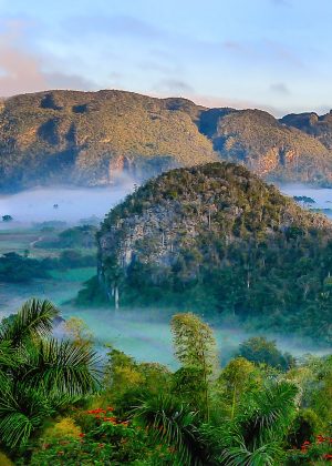 OnCuba Travel Testimonial